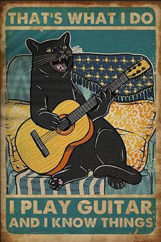 SKDLRZ Black Cat That's What I Do I Play Guitar and I Know Things Metal Tin Sign Wall Art Deco Living Room, Cafe, Bar, Club, Garage Home Decoration Gift 8 X 12 Inches. in Saudi Arabia