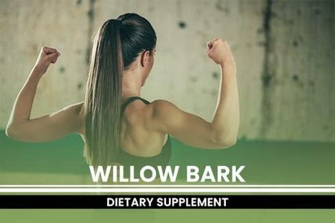 PURE ORIGINAL INGREDIENTS Willow Bark Extract (365 Capsules) No Magnesium Or Rice Fillers, Always Pure, Lab Verified in Saudi Arabia