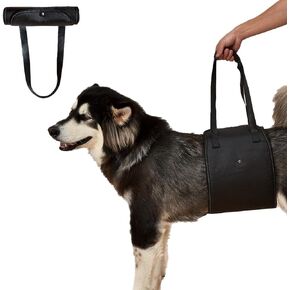 Dog Lift Harness,Dog Sling for Large Dogs hind Leg Support,Adjustable Reflective Dog Lifting Vest,Dog Rehab Harness for Helps Senior Injured Dogs (Black, Large) in Kuwait