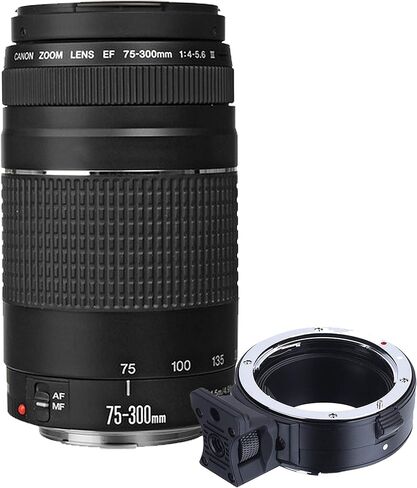 كاميرا Canon EOS R10 الرقمية بدون مرآة مع RF-S مقاس 18-45 مم هي عدسة STM + عدسة 75-300 مم + عدسة Super Telephoto مقاس 420-800 مم + ذاكرة سعة 128 جيجابايت + حافظة + حامل ثلاثي القوائم + مرشحات (حزمة 45 قطعة) (متجددة) in Saudi Arabia