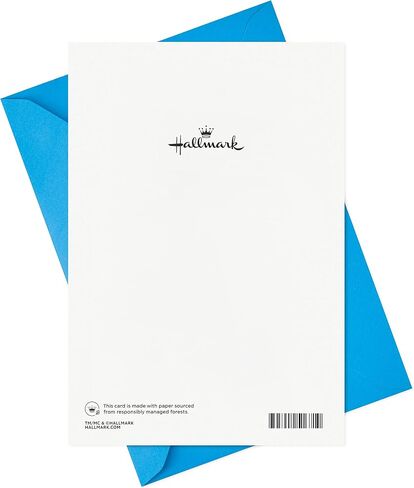 Hallmark Pop Up Fathers Day Card for Dad, Grandpa, Husband (Papa Bear) in Saudi Arabia