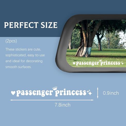 2 PCS Passenger Princess Sticker, Funny Car Rearview Mirror Window Bumper Decal Decoration, Cute Auto Mirror Vinyl Letter Decal Sticker for Women Girls, Car Accessories (Pink, 7.9 Inch) in Saudi Arabia