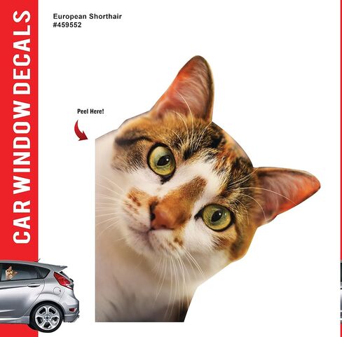 ملصقات نافذة السيارة على شكل قطة، ملصقات مضحكة ثلاثية الأبعاد مقاومة للطقس (قطة البنغال) in Kuwait