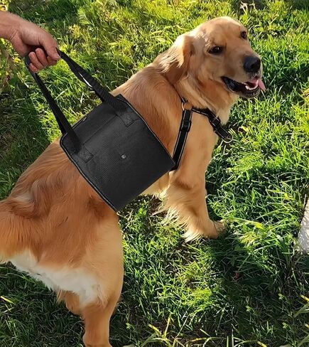 Dog Lift Harness,Dog Sling for Large Dogs hind Leg Support,Adjustable Reflective Dog Lifting Vest,Dog Rehab Harness for Helps Senior Injured Dogs (Black, Large) in Kuwait