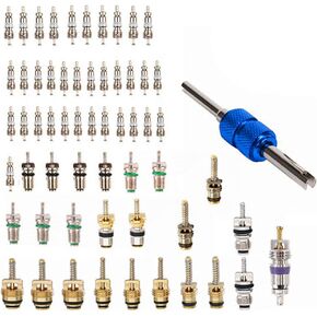 61 Pcs Air Conditioning Schrader Valve Cores for Car Home A/C Accessories R12 R134a Refrigeration Tire Valve Stem Core with Double Head Dual Dismantling Remover Installer Tool Assortment Kit