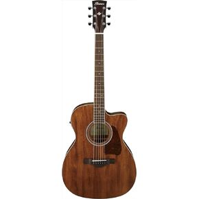 Ibanez Artwood AC340CE - Open Pore Natural