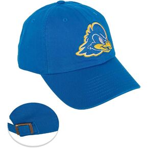 Desert Cactus University of Delaware Baseball Hat Fightin Blue Hens UD Brimmed Embroirderd Hats Cap Adjustable Cloth Strap Adult (Style A)