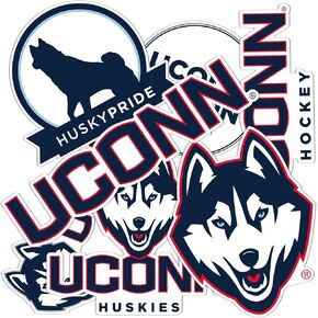 Desert Cactus University of Connecticut Sticker UConn Huskies Stickers Vinyl Decals Laptop Water Bottle Car Scrapbook T2 (Type 2-2)