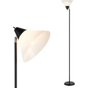 Floor Lamp Standing Lamp Adjustable Head Arcylic Shade Floor Lamps for Living Room/Office/Bedroom (Satin Nickel)