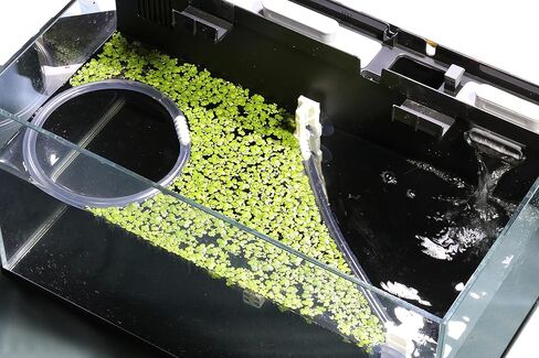 ONTEN Aquarium Floating Plant Corral, As The Water Level Risers and Falls Automatically in Kuwait