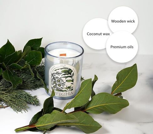 Candle Crackling Wood Scented Eco-Friendly, Candles with Fragrance Oils, Organic Candles Non Toxic, Coconut Wax Candle, Gift Candles Crackle (Cypress and Bayberry) in Saudi Arabia