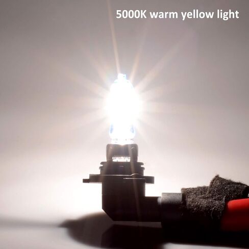 مصباح هالوجين عالي السطوع 65 وات من WinPower 9005 5500K مصباح أمامي أبيض دافئ، عبوة من 2 in Kuwait