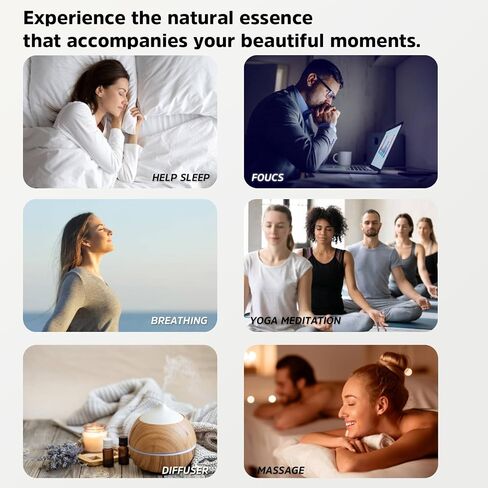 Essential Oils Set Provence Series Set of 6 100% Pure Oils kit - Lavender, Cedarwood, Rosemary, Geranium, Rose, Vanilla 10ML Suitable for Candle Making, Fresh fragrances and Diffuser in Saudi Arabia