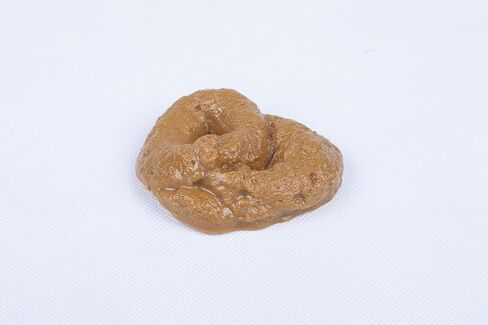 SummitLink Realistic Gross Party Pooper Fake Poo Dog Poop Novelty Toy Brown Birthday Prank Toy Novelty Gift Joke New in Saudi Arabia