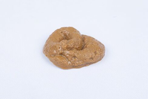 SummitLink Realistic Gross Party Pooper Fake Poo Dog Poop Novelty Toy Brown Birthday Prank Toy Novelty Gift Joke New in Saudi Arabia