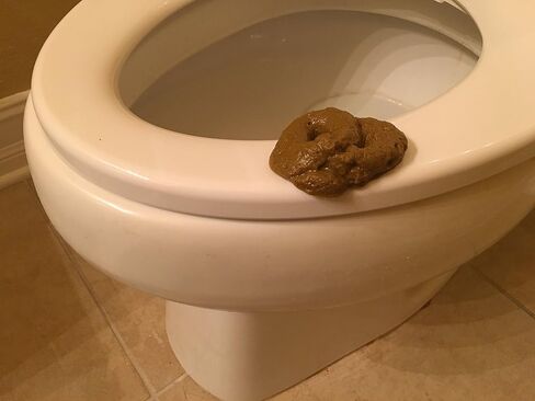 SummitLink Realistic Gross Party Pooper Fake Poo Dog Poop Novelty Toy Brown Birthday Prank Toy Novelty Gift Joke New in Saudi Arabia