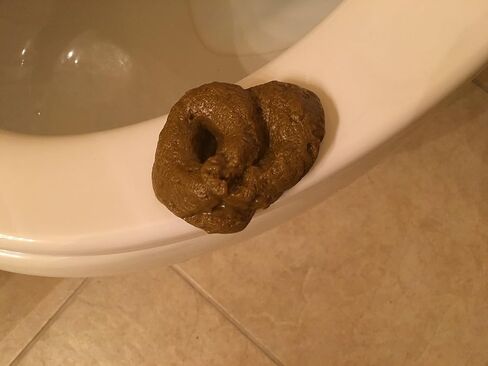 SummitLink Realistic Gross Party Pooper Fake Poo Dog Poop Novelty Toy Brown Birthday Prank Toy Novelty Gift Joke New in Saudi Arabia