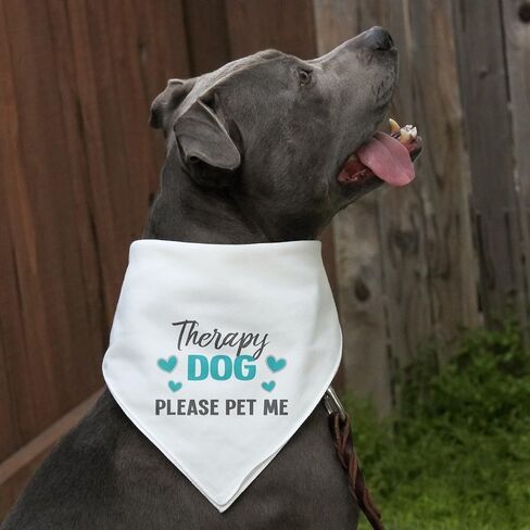 Therapy Dog Please Pet Me with Hearts Dog Pet Bandana - Black in Saudi Arabia