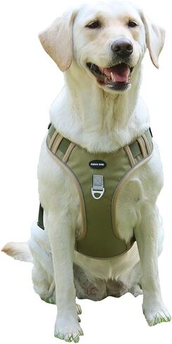 Adjustable Oxford Dog Harness No Pull and Leash Set Walking Pet Harness with Easy Control Handle for Lifting No Choke Front Clip Reflective Dog Vest 2 Leash Hooks Escape Proof (Black, S) in Saudi Arabia