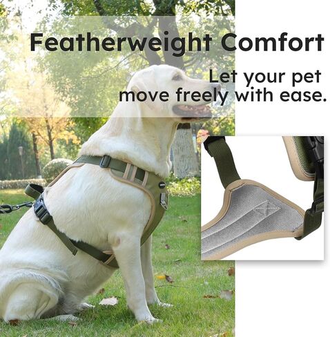 Adjustable Oxford Dog Harness No Pull and Leash Set Walking Pet Harness with Easy Control Handle for Lifting No Choke Front Clip Reflective Dog Vest 2 Leash Hooks Escape Proof (Black, S) in Saudi Arabia