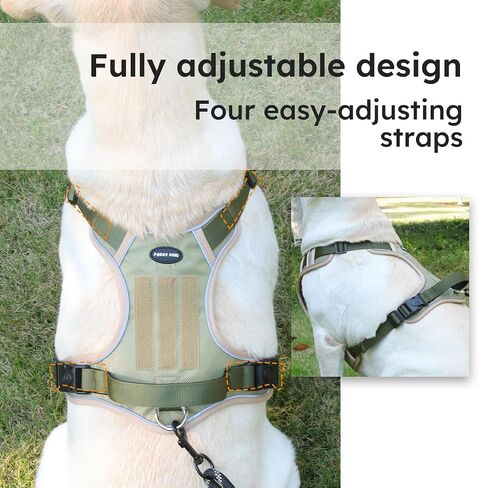 Adjustable Oxford Dog Harness No Pull and Leash Set Walking Pet Harness with Easy Control Handle for Lifting No Choke Front Clip Reflective Dog Vest 2 Leash Hooks Escape Proof (Black, S) in Saudi Arabia