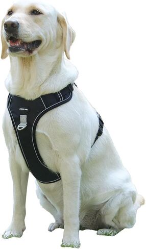 Adjustable Oxford Dog Harness No Pull and Leash Set Walking Pet Harness with Easy Control Handle for Lifting No Choke Front Clip Reflective Dog Vest 2 Leash Hooks Escape Proof (Black, S) in Saudi Arabia