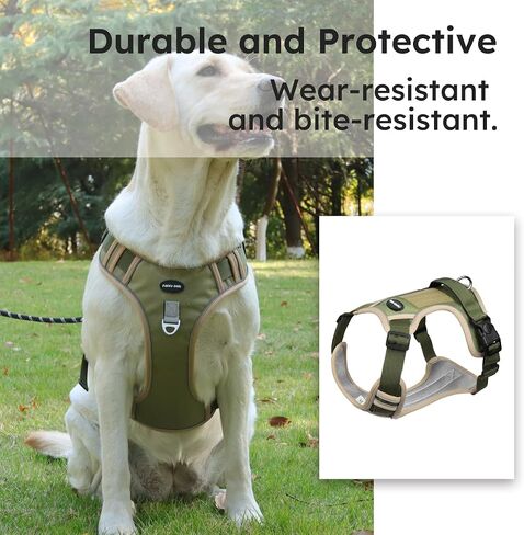 Adjustable Oxford Dog Harness No Pull and Leash Set Walking Pet Harness with Easy Control Handle for Lifting No Choke Front Clip Reflective Dog Vest 2 Leash Hooks Escape Proof (Black, S) in Saudi Arabia