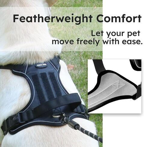 Adjustable Oxford Dog Harness No Pull and Leash Set Walking Pet Harness with Easy Control Handle for Lifting No Choke Front Clip Reflective Dog Vest 2 Leash Hooks Escape Proof (Black, S) in Saudi Arabia