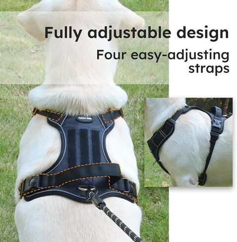 Adjustable Oxford Dog Harness No Pull and Leash Set Walking Pet Harness with Easy Control Handle for Lifting No Choke Front Clip Reflective Dog Vest 2 Leash Hooks Escape Proof (Black, S) in Saudi Arabia