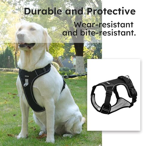 Adjustable Oxford Dog Harness No Pull and Leash Set Walking Pet Harness with Easy Control Handle for Lifting No Choke Front Clip Reflective Dog Vest 2 Leash Hooks Escape Proof (Black, S) in Saudi Arabia