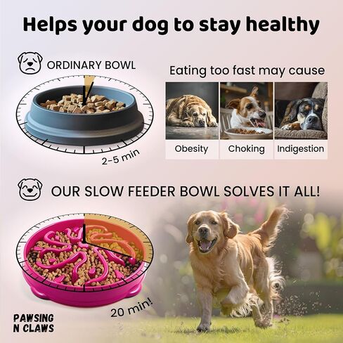 Slow Feeder Dog Bowl - Anti-Choking & Non Slip Interactive Dog Feeding Bowls for Dry/Wet Food That Slow Down Eating Dog Bowl - Maze Puzzle Design Bowl - Medium/Large (Purple) in Saudi Arabia