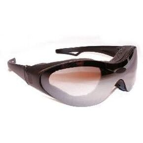 Birdz Eyewear Phoenix Goggles w/ 3 Sets of lenses