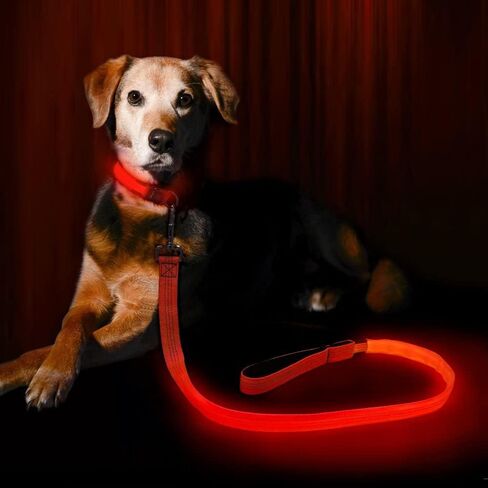 مقود الكلب العاكس LED - مقود الكلب المضيء في الظلام - مقود الكلب المضيء بطول 4 أقدام للكلاب الصغيرة والمتوسطة والكبيرة (برتقالي) in Kuwait