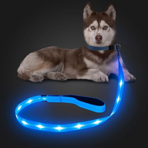 مقود الكلب العاكس LED - مقود الكلب المضيء في الظلام - مقود الكلب المضيء بطول 4 أقدام للكلاب الصغيرة والمتوسطة والكبيرة (برتقالي) in Kuwait