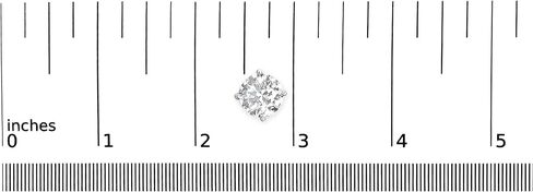 .925 Sterling Silver 1.0 Cttw Round Brilliant Cut Lab Grown White Diamond 4-Prong Classic Solitaire Stud Earrings (F-G Color, VS2-SI1 Clarity) in Saudi Arabia