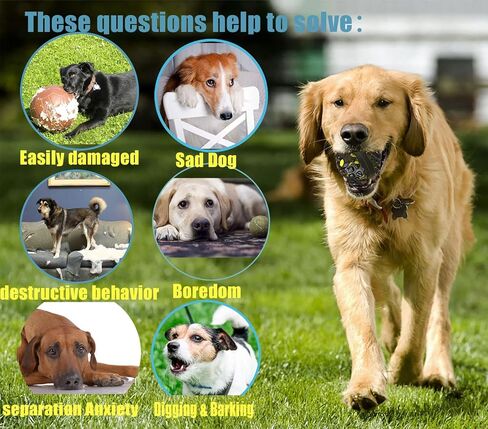 ألعاب كرة الكلاب iZiv، كرة الضحك للكلاب الصغيرة والمتوسطة، ألعاب تفاعلية للكلاب من أجل الملل، أصوات ضحك ممتعة عند دحرجتها أو اهتزازها، كرات الكلاب للعب والجلب وإبقائها مشغولة in Kuwait