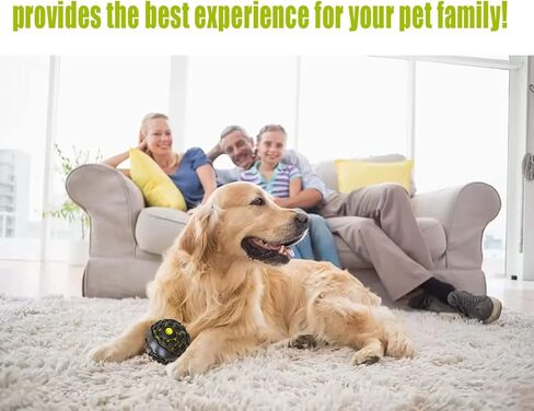 ألعاب كرة الكلاب iZiv، كرة الضحك للكلاب الصغيرة والمتوسطة، ألعاب تفاعلية للكلاب من أجل الملل، أصوات ضحك ممتعة عند دحرجتها أو اهتزازها، كرات الكلاب للعب والجلب وإبقائها مشغولة in Kuwait