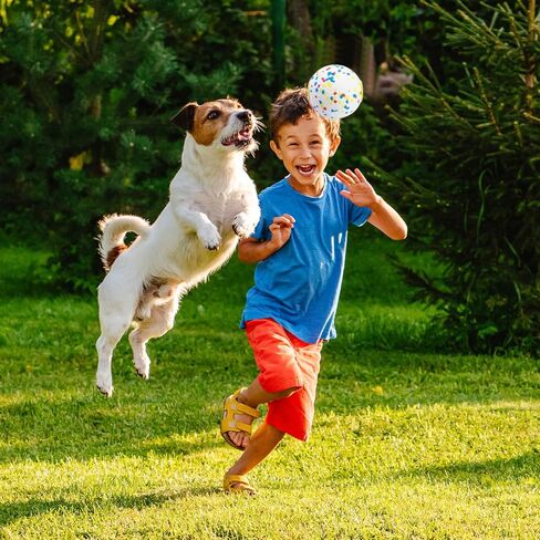 كرة لعبة تيكاتون للكلاب، ليست للمضغ العدواني، لعبة ألغاز تفاعلية للحيوانات الأليفة للسلالات المتوسطة والكبيرة، رائعة لجلب ألعاب القذف وتحفيز التسنين in Kuwait