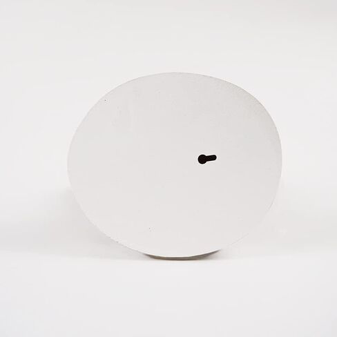 تمثال ديناصور مثبت على الحائط لديكور المنزل تيرانوصور in Kuwait