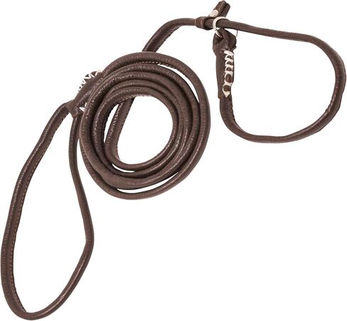 Genuine Rolled Leather Slip Dog Leash and Adjustable Choke Collar British Style Lead 6ft Long Brown (Small: 1/4" Diam) in Saudi Arabia