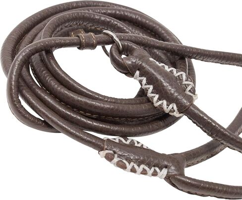 Genuine Rolled Leather Slip Dog Leash and Adjustable Choke Collar British Style Lead 6ft Long Brown (Small: 1/4" Diam) in Saudi Arabia