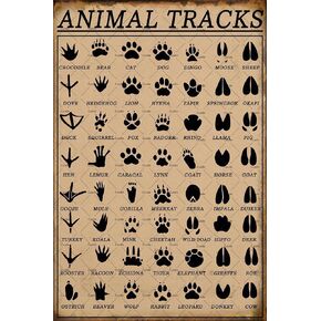 Animal Tracks Sign Vintage Metal Tin Sign Funny Woodland Nursery Wall Art Decor Farmhouse Home Rustic Decor Gifts For Animal Lovers 8x12 Inch