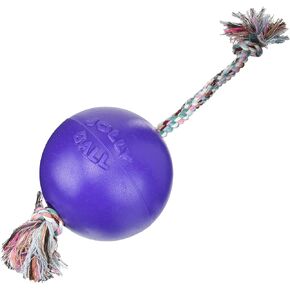Romp-N-Roll Ball