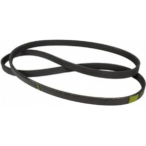 Motorcraft Drive Belt