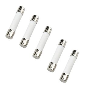 Microwave Fuse 20A Ceramic 6x30mm Fuse Slow-Blow Time Delay Fuse Compatible and Universal Replacement for WB27X10388 and Other Microwaves 20 Amp 250V(5pcs)