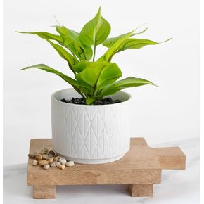 Kurrajong Farmhouse Fake pothos Plant for Office Decor | Faux Ivy Desk Plant | Artificial pothos Plant with White Ceramic Pot | Artificial Plant Indoor | Fake Plant for Desk Decor