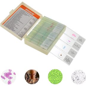 30 Pcs Microscope Slides with Specimens for Kids, Glass Prepared Slides Set for Microscope Accessories, Biology Gifts and Basic Science for Kid Education