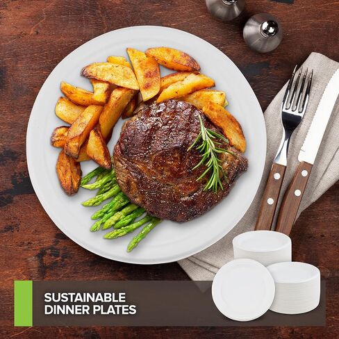Stock Your Home 100% Compostable Plates 9 Inch (100 Count) Large Heavy Duty Biodegradable Paper Plate for Dinner, Eco-Friendly Recyclable Disposable Sustainable, Natural Bagasse in Kuwait