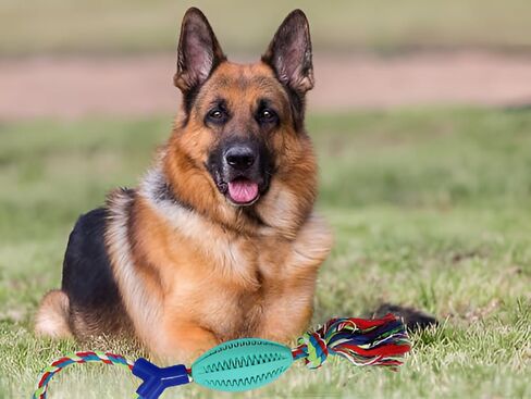 Rubber Ball Dog Toys for Interactive Treat with Tough Twisted Dispensing Enrichment for Boredom and Brain Stimulating Game,Convex Design Tug of War for Medium Dog (Not for aggressive chewers) in Saudi Arabia