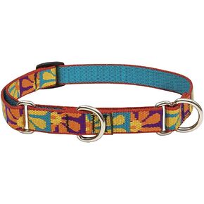 LupinePet Originals 3/4" Crazy Daisy 14-20" Martingale Collar for Medium and Larger Dogs